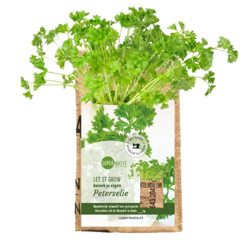 Hængehave - Billede 7